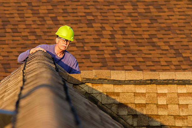 Best Roof Gutter Cleaning  in Ephraim, UT