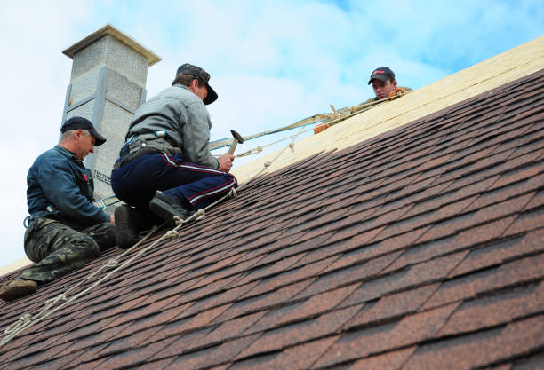 Best Metal Roofing Contractor  in Ephraim, UT